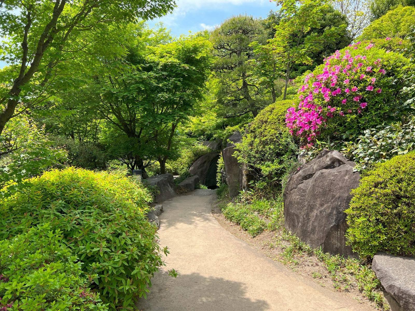 Proposed design: stone path between clipped shrubs, boulders and flowering azaleas